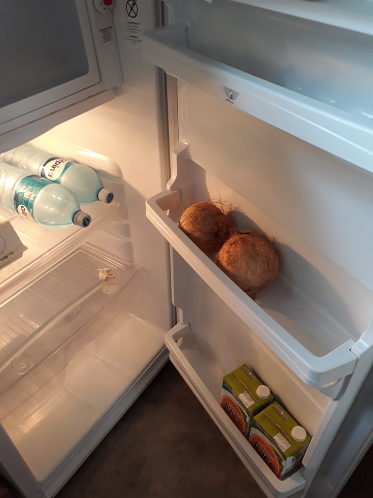Kokosnønner i køleskabet