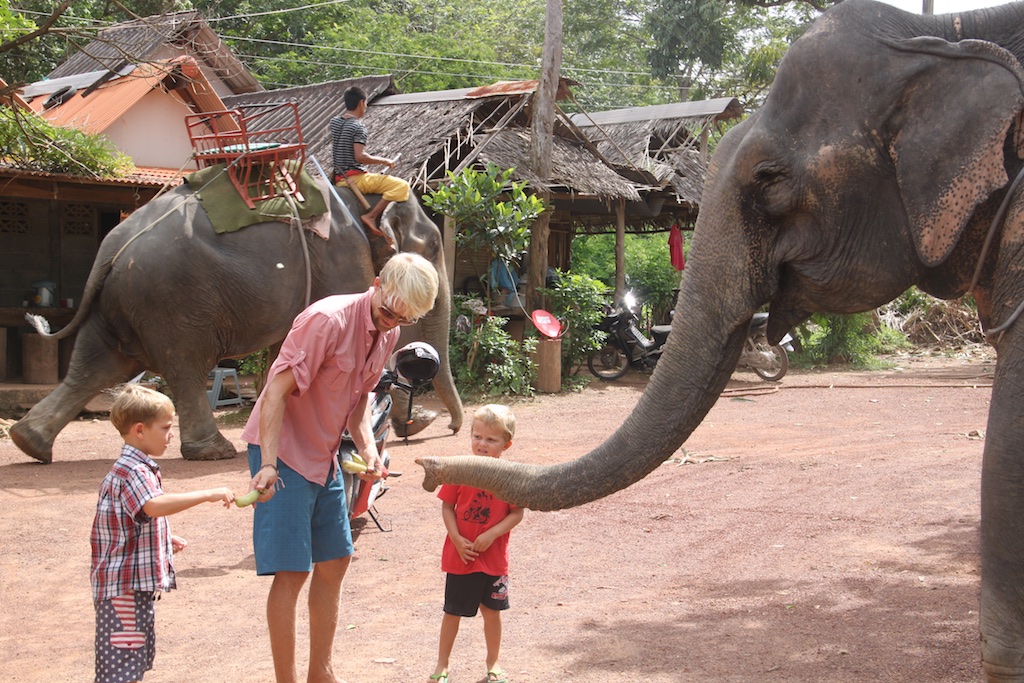 Oskar, Rasmus og Alfred fodrer en elefant med bananer