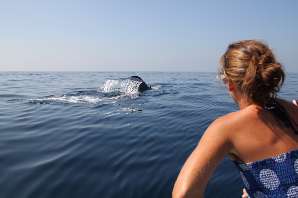 Helene kigger på en blåhval der dykker
