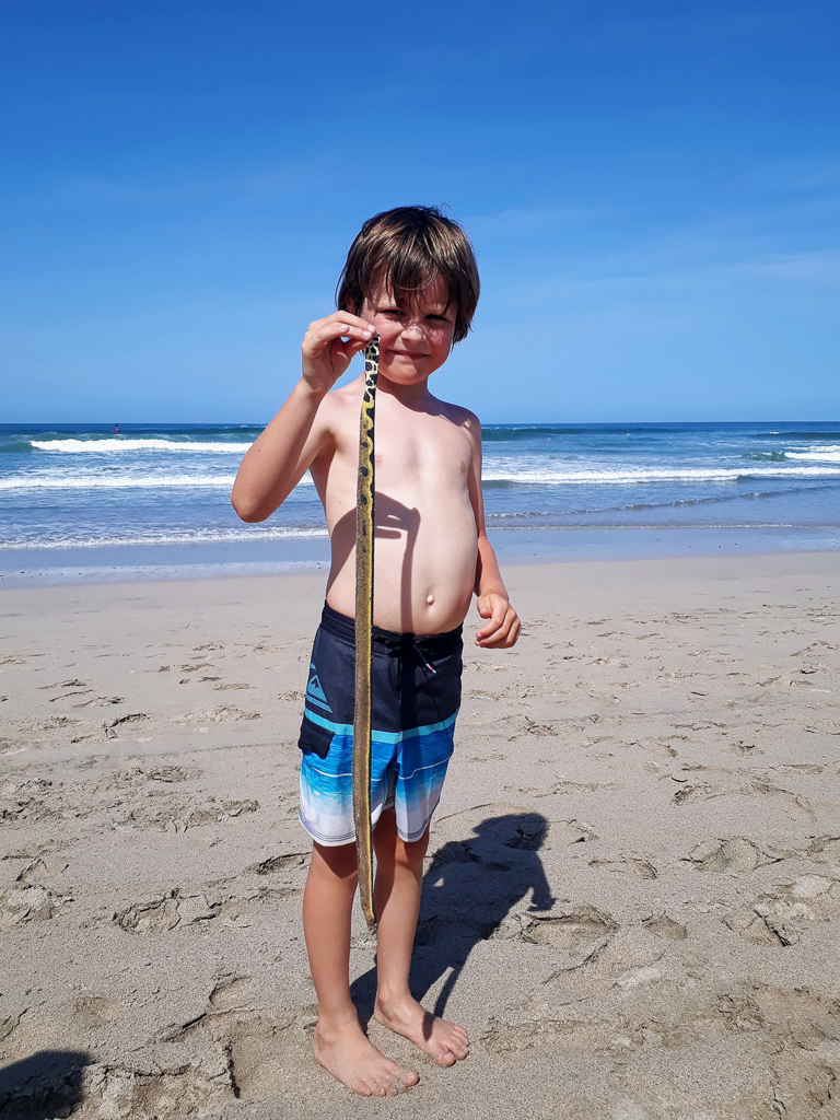 Alfred med død søslange på stranden