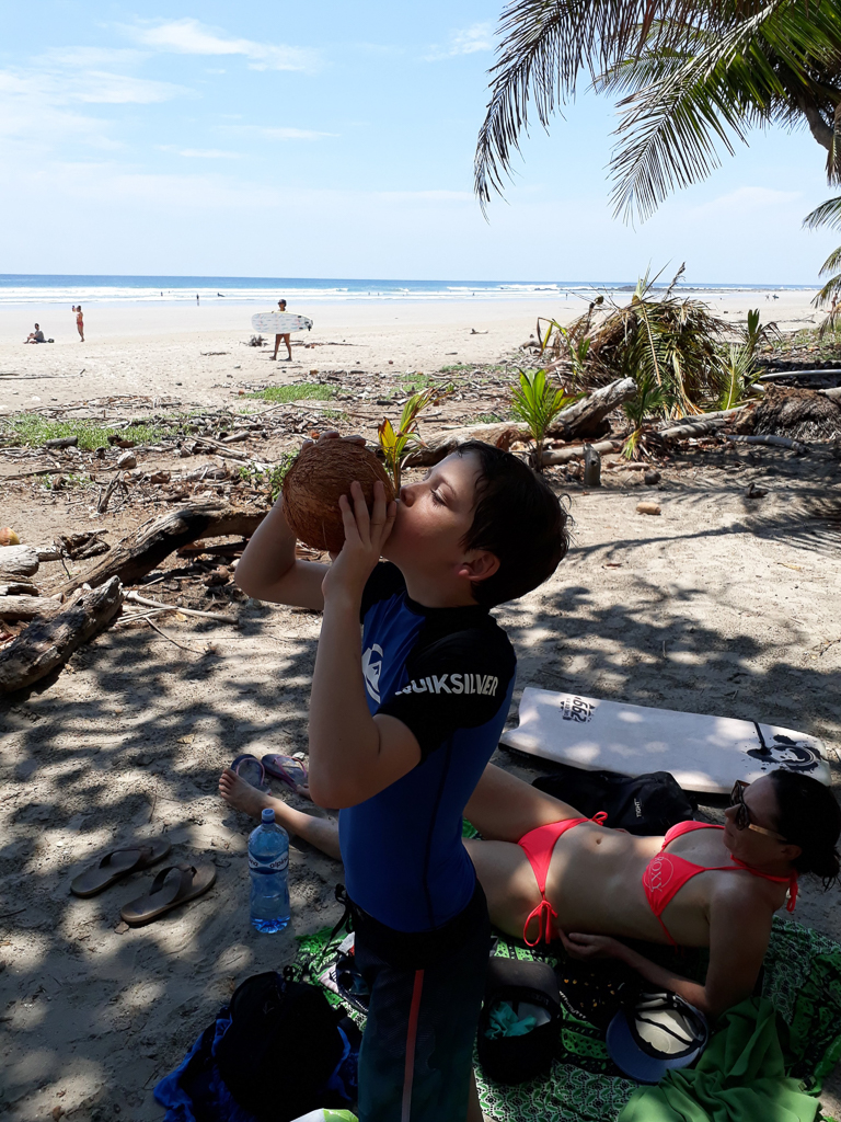 Playa Hermosa - kokosnød