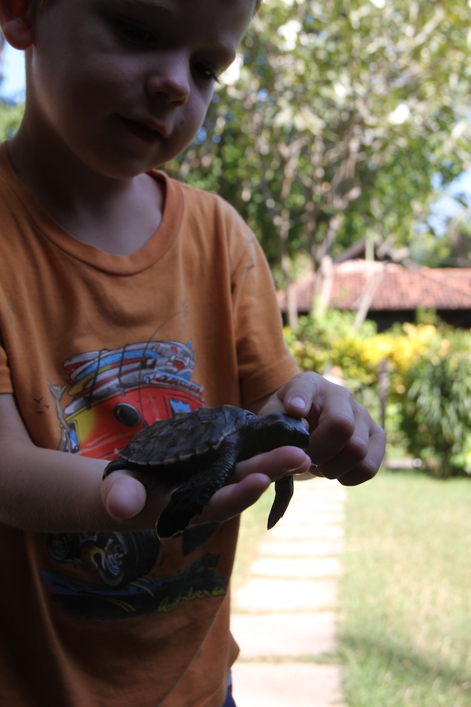 Oskar med skildpadde