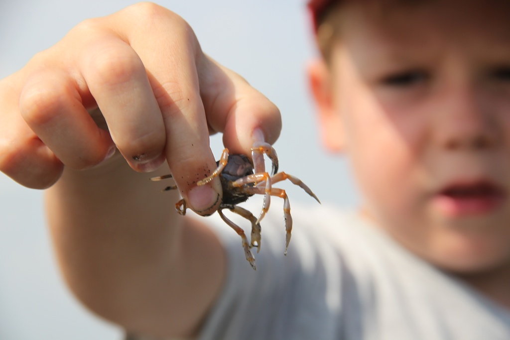 Oskar med en soldier-krabber i hånden
