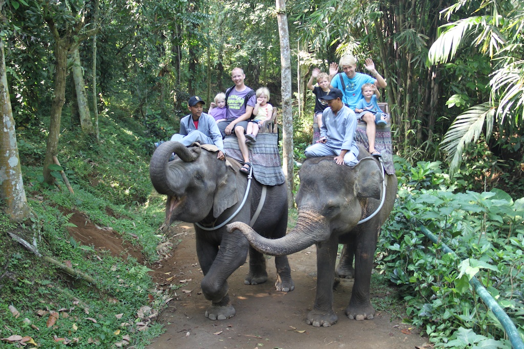 Sine, Bruno, Tilde, Oskar, Rasmus og Alfred på rider på to elefanter