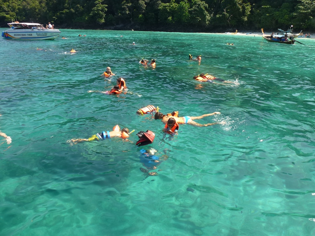 Oskar, Alfred, Helene og Rasmus snorkler sammen med en masse andre turister