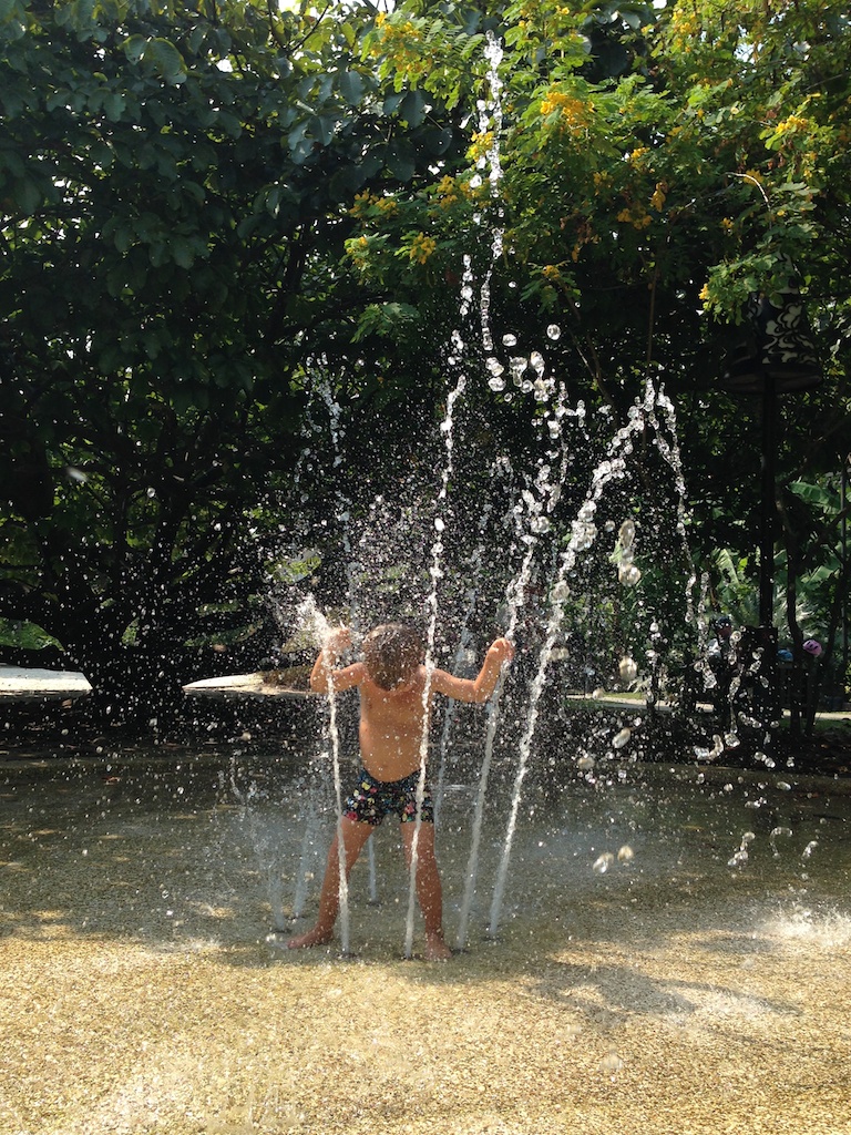 Alfred leger i springvandet i Botanisk Have i Singapore