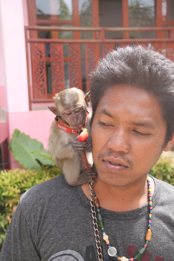 Thailands mand med abe på skulderen