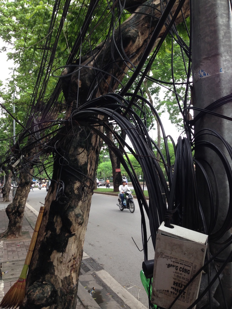 Virvar af elkabler hængt op i træerne i Hanoi