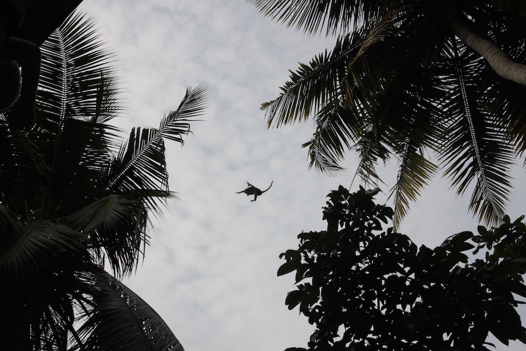 Abe i luften over junglehytten