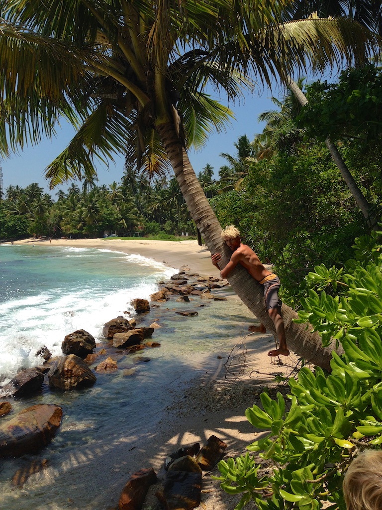 Rasmus kravler i kokospalme