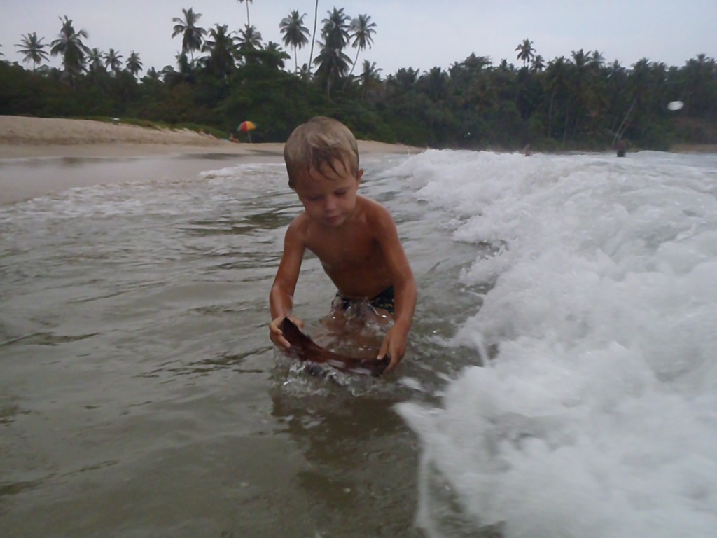 Alfred leger surfbræt med et stykke af en kokosnød